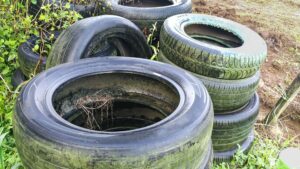 prevenção e tratamento da dengue